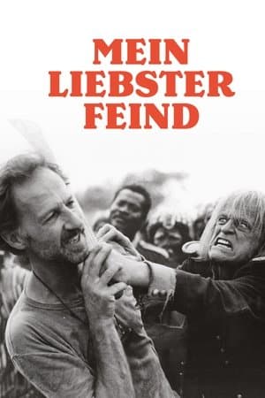Mein liebster Feind