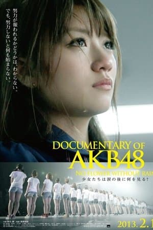 DOCUMENTARY of AKB48 No flower without rain 少女たちは涙の後に何を見る？