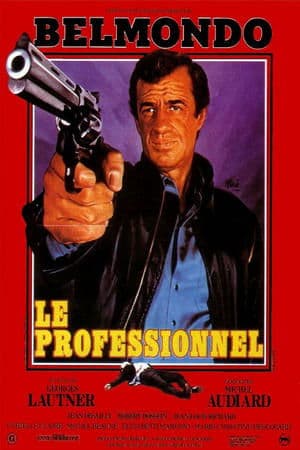 Profesyonel