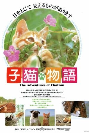 子猫物語