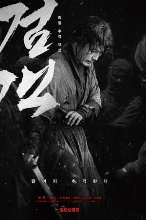 The Swordsman