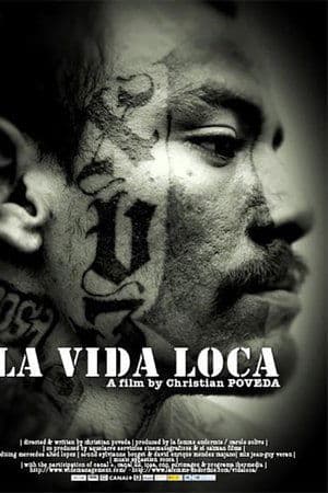 La vida loca