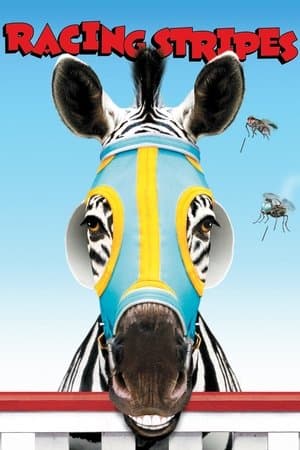 Yarışçı Zebra