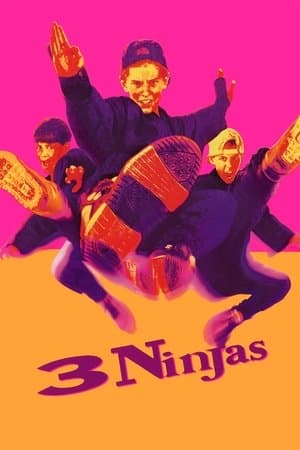 3 Küçük Ninja