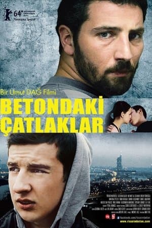 Betondaki Çatlaklar