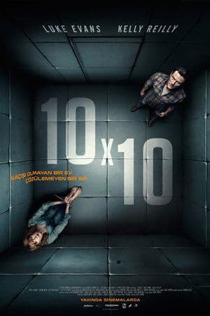 10 x 10