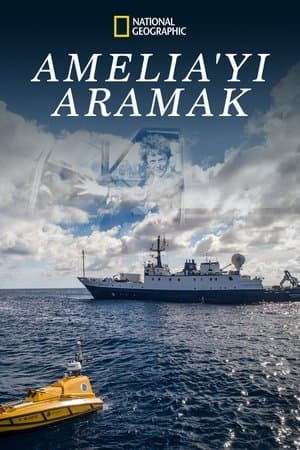 Amelia'yı Aramak