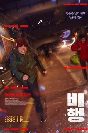 비행