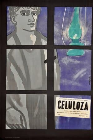Celuloza